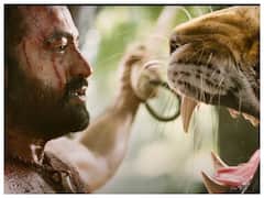Rajamouli On NTR - Tiger Scene: ఎన్టీఆర్ భయపడింది పులిని చూసి కాదు!