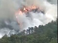 चीन विमान हादसा: सभी 132 यात्रियों और चालक दल की मौत की आधिकारिक पुष्टि, डीएनए से 120 की हुई पहचान