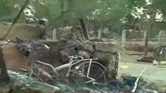 Rampurhat Fire: বগটুই কাণ্ডের প্রায় ৪৮ ঘণ্টা পরেও গ্রামের বিভিন্ন জায়গায় জ্বলছে ধিকিধিকি আগুন।Bangla News