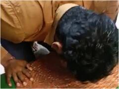 The Kashmir Files पर सोशल मीडिया पोस्ट करने वाले युवक से रगड़वाई नाक, वीडियो किया वायरल