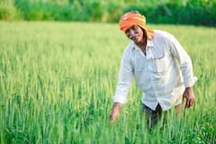 Parbhani News : तब्बल 7 वर्षानंतर शेतकऱ्यांना आले 