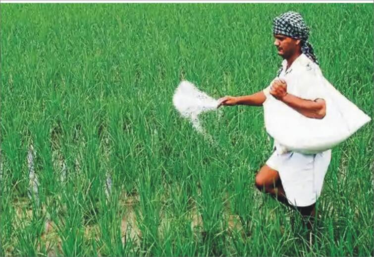 state and central governments should intervene in the rising price of chemical fertilizers, the Kisan Sabha demanded fertilizers price :  रासायनिक खतांच्या वाढत्या किंमतीबाबत सरकारनं हस्तक्षेप करावा, अन्यथा तीव्र आंदोलनाचा किसान सभेचा इशारा