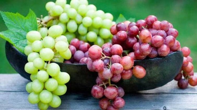 Health tips difference between black grapes and green grapes benefits of grapes Grapes benefits : કાળી અને લીલી દ્રાક્ષ વચ્ચે હોય છે આ તફાવત, જાણો, સ્વાસ્થ્ય માટે કઇ દ્રાક્ષ છે વધુ ઉત્તમ