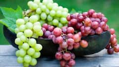Grapes benefits : เชเชพเชณเซ เช
เชจเซ เชฒเซเชฒเซ เชฆเซเชฐเชพเชเซเชท เชตเชเซเชเซ เชนเซเชฏ เชเซ เช เชคเชซเชพเชตเชค, เชเชพเชฃเซ, เชธเซเชตเชพเชธเซเชฅเซเชฏ เชฎเชพเชเซ เชเช เชฆเซเชฐเชพเชเซเชท เชเซ เชตเชงเซ เชเชคเซเชคเชฎ