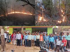 Bastar Forest Workers Strike: वन कर्मियों की हड़ताल से बेशकीमती लकड़ी तस्करों की हुई चांदी, जानिए कैसे?