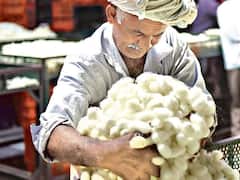 तब्बल 7 वर्षानंतर शेतकऱ्यांना आले 