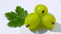 Amla Juice in Summer: কেন গরমকালে অবশ্যই খাওয়া দরকার আমলকির রস?