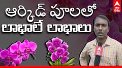 Thailand Orchid Flower cultivation In Nizamabad: నెలకు లక్ష రుపాయలు ఆదాయమట!| ABPDesam
