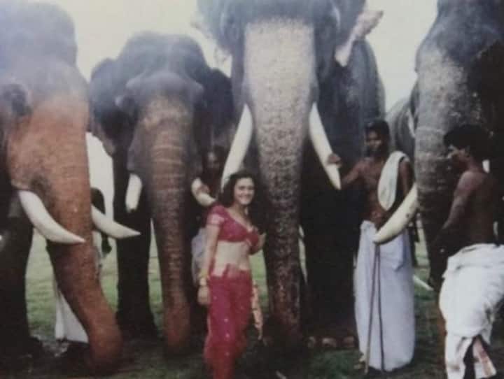 Preity Zinta shares throwback photo from Dil Se song Jiya Jale actress posed between massive elephants बड़े-बड़े हाथियों के बीच सहमी खड़ी इस हसीना को पहचानना हुआ मुश्किल, पहली फिल्म में दिखाया था हैरत-अंगेज अंदाज