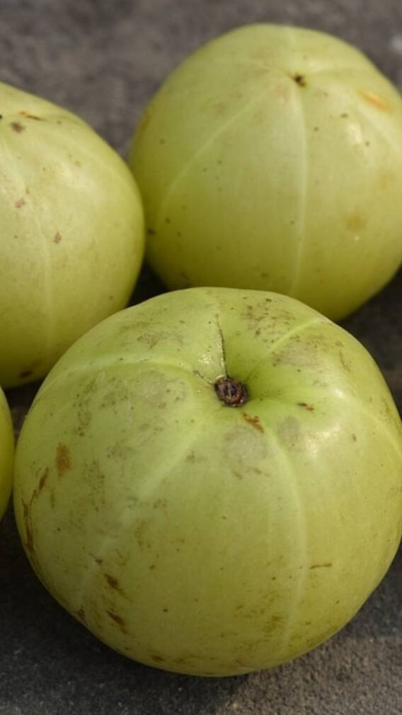 গরমে আমলকির রস খেলে যা হবে