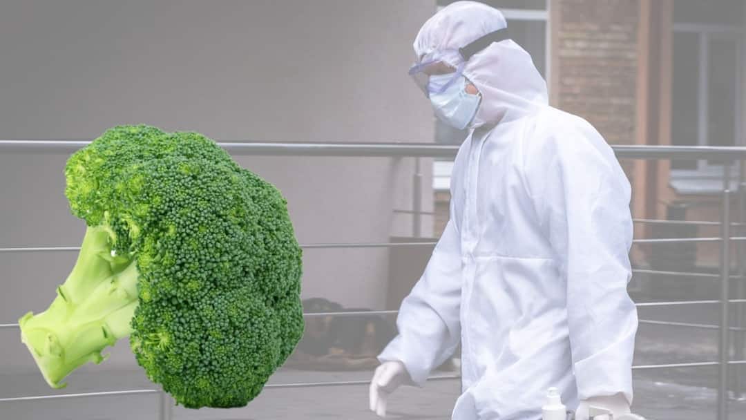 Broccoli, leafy greens can help slow growth of Covid 19, flu, Common Cold- Research Found Broccoli Against Viruses: কোভিডের ওষুধ লুকিয়ে ব্রকোলিতে? ইঙ্গিত গবেষণায়