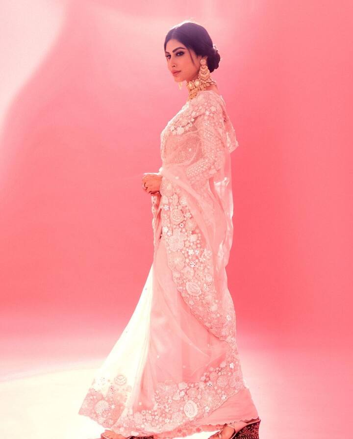 বিয়ের দু'মাস পেরিয়েছেন মৌনী। দীর্ঘদিনের প্রেমিক সূর্য নাম্বিয়ার সঙ্গে সাত পাকে বাঁধা পড়েছেন তিনি।