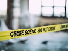 Delhi: Fed Up Over Excessive Barking Of Neighbour's Pet Dog, Minor Boy Kills Its Owner