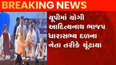 UP પોલિટિક્સઃ યોગી આદિત્યનાથ ચૂંટાયા ભાજપ ધારાસભ્ય દળના નેતા તરીકે, જુઓ ગુજરાતી ન્યૂઝ