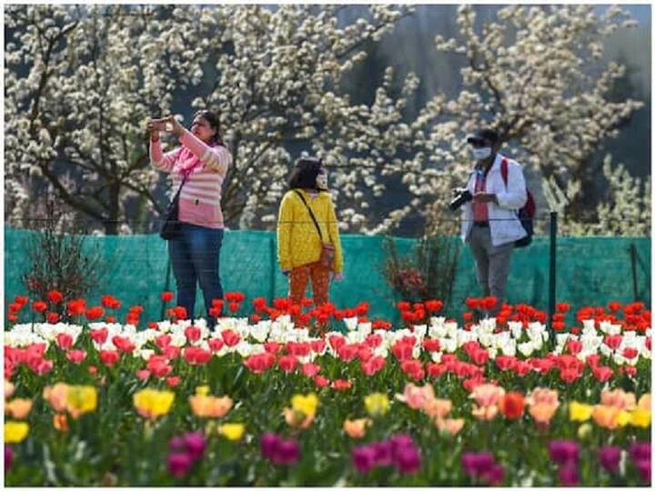 આ વખતે ટ્યૂલિપ ગાર્ડનની ઈ-ટિકિટીંગનો વિકલ્પ આપવામાં આવ્યો છે, કારણ કે જ્યારે લોકો અહીં કતાર લગાવતા હતા ત્યારે તેમને ઘણી સમસ્યાઓનો સામનો કરવો પડતો હતો. પરંતુ હવે ઘરે બેસીને ટિકિટ બુક કરાવી શકાશે.