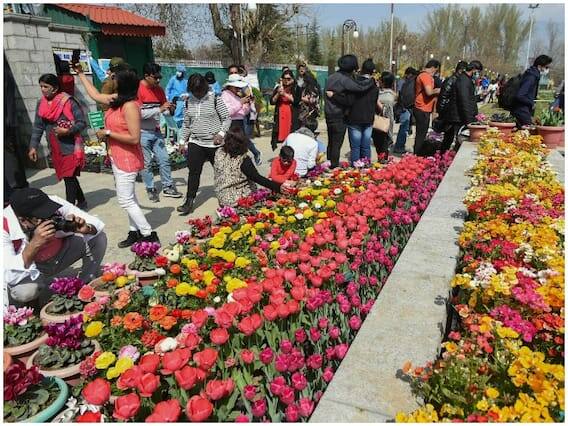 દાલ સરોવરના કિનારે ઝબરવાન ટેકરીઓની ગોદમાં આવેલા એશિયાના સૌથી મોટા ટ્યૂલિપ ગાર્ડનનું 23 માર્ચ બુધવારના રોજ ઉદ્ઘાટન કરવામાં આવ્યું હતું.
