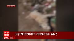 Dog Brutally Killed : संतापजनक! उल्हासनगरात कुत्रीसह पिल्लाला झाडाला लटकावून फाशी