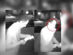 Trending News : असा पकडला चोर; फूड डिलेव्हरी बॉय मारत होता कस्टमरच्या ऑर्डरवर ताव, अन्...