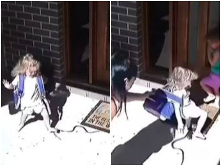 घर के बैकयार्ड में निकले जहरीले सांप ने छुटाए महिला के पसीने, रोंगटे खड़े कर देगा वीडियो woman was shocked to see poisonous snake that came out in backyard of house घर के बैकयार्ड में निकले जहरीले सांप ने छुटाए महिला के पसीने, रोंगटे खड़े कर देगा वीडियो