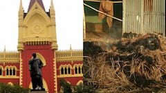 Birbhum Violence: 'CBI এর হাতে তদন্তভার তুলে দেওয়া সঠিক সিদ্ধান্ত', মন্তব্য মানবাধিকার কর্মী রঞ্জিৎ শূরের।Bangla News