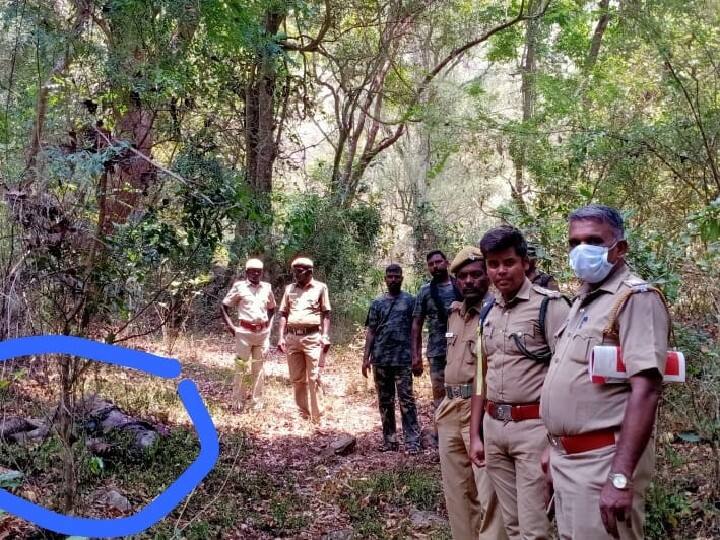 Sandalwood smuggler kills in wild elephant attack near Coimbatore கோவை : காட்டு யானை தாக்கி  சந்தன மரம் கடத்தியவர் உயிரிழப்பு.. காவல்துறை விசாரணை தீவிரம்..