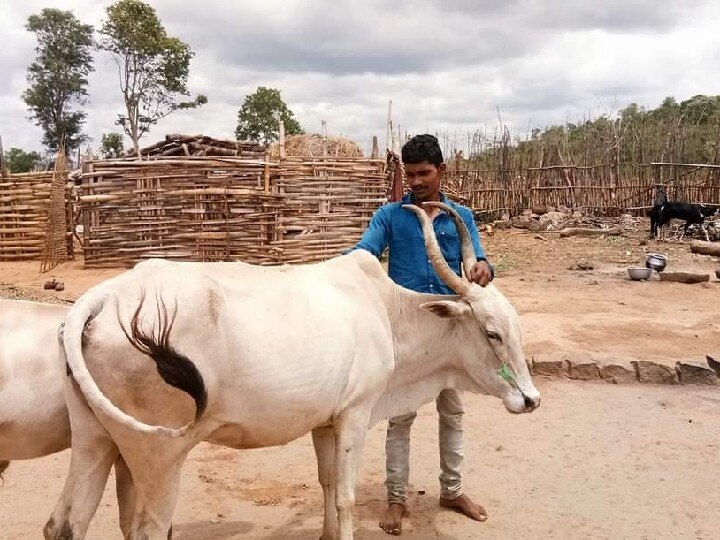 பழங்குடியின மாணவனின் கல்விக் கனவை நனவாக்கிய முதலமைச்சர் மு.க.ஸ்டாலின்  ; எதிர்கட்சி தலைவராக பெற்ற மனுவிற்கு முதலமைச்சராகி தீர்வு