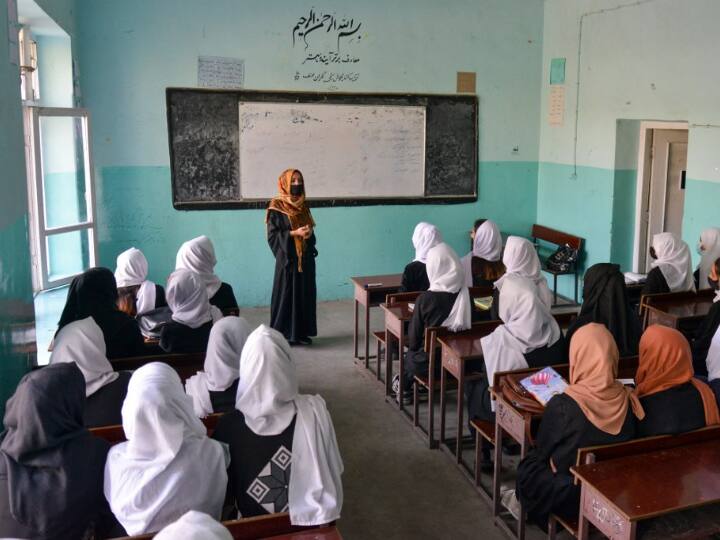 US Allies Call On Taliban To Reopen Girls Schools In Afghanistan Afghanistan: अमेरिका और सहयोगी देशों की तालिबान को दो टूक, 'लड़कियों के लिए फिर खोलें स्कूल'