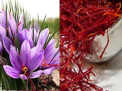 குங்குமப்பூ பயன்பாடு பத்தி தெரியுமா? அதிகம் தெரியாத இத்தனை விஷயங்கள் இருக்கா? இதப்படிங்க முதல்ல..