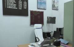 ਪੰਜਾਬ ਦੇ ਸਰਕਾਰੀ ਦਫ਼ਤਰਾਂ 'ਚ ਮਾਨ ਸਰਕਾਰ ਦੀਆਂ ਹਿਦਾਇਤਾਂ ਦੀ ਕਿੰਨੀ ਹੋ ਰਹੀ ਪਾਲਣਾ?