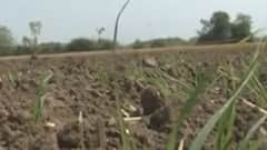 પાટણ: અપૂરતી વીજળીની સમસ્યાથી પરેશાન ખેડૂતો રોષમાં, હાલ કેટલા કલાક મળે છે વીજળી?