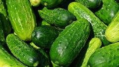 Cucumber for Skin Care: ত্বক বাঁচাবে এই ফল, রয়েছে হাতের কাছেই