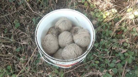 Birbhum: মুখ্যমন্ত্রীর নির্দেশের পরই পুলিশি-তৎপরতা, মাড়গ্রাম এলাকা থেকে উদ্ধার ৬০টি তাজা বোমা।Bangla News