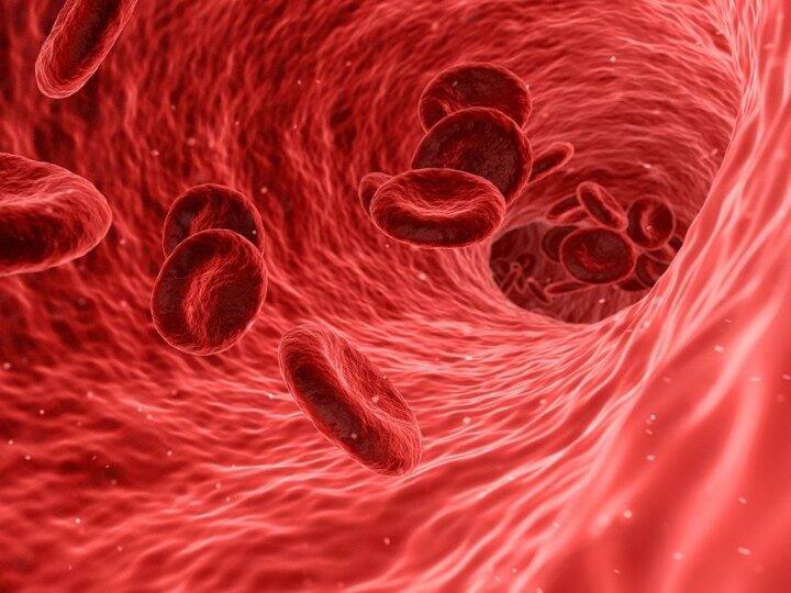 World Thalassemia Day 2022: ভয় নয়, থ্যালাসেমিয়া জয়ে মূলমন্ত্র সচেতনতাই World Thalassemia Day 2022: History, Significance, Theme, Date All You need to know World Thalassemia Day 2022: ভয় নয়, থ্যালাসেমিয়া জয়ে মূলমন্ত্র সচেতনতাই