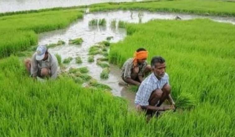 Farm income fell in four States despite aim to double income: parliamentary panel ખેડૂતોની આવક ડબલ થઇ કે નહી? રિપોર્ટમાં દાવો- 4 રાજ્યોમાં તો આવક ઘટી