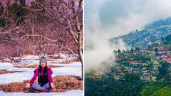 ਗਰਮੀਆਂ 'ਚ ਸਿਰਫ 5000 ਰੁਪਏ ਵਿੱਚ ਘੁੰਮ ਸਕਦੇ ਹੋ ਇਹ ਪੰਜ ਹਿੱਲ ਸਟੇਸ਼ਨ, ਵੇਖੋ ਪੂਰੀ ਲਿਸਟ