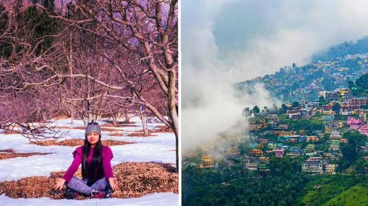 ਗਰਮੀਆਂ ਦਾ ਮੌਸਮ ਆ ਗਿਆ ਹੈ ਅਤੇ ਕਈ ਰਾਜਾਂ ਵਿੱਚ ਤਾਪਮਾਨ ਪਹਿਲਾਂ ਹੀ ਬਹੁਤ ਵੱਧ ਗਿਆ ਹੈ। ਜਲਦੀ ਹੀ ਬੱਚਿਆਂ ਦੀਆਂ ਗਰਮੀਆਂ ਦੀਆਂ ਛੁੱਟੀਆਂ ਹੋਣਗੀਆਂ। ਆਫਿਸ, ਕਾਲਜ ਤੋਂ ਬਾਅਦ ਜੇਕਰ ਤੁਸੀਂ ਵੀ ਇਸ ਗਰਮੀਆਂ ਦੀਆਂ ਛੁੱਟੀਆਂ 'ਚ ਦੋਸਤਾਂ, ਪਰਿਵਾਰ ਜਾਂ ਆਪਣੇ ਕਿਸੇ ਖਾਸ ਨਾਲ ਹਿੱਲ ਸਟੇਸ਼ਨ ਜਾਣਾ ਚਾਹੁੰਦੇ ਹੋ ਤਾਂ ਅਸੀਂ ਤੁਹਾਨੂੰ ਘੱਟ ਬਜਟ ਵਾਲੇ ਹਿੱਲ ਸਟੇਸ਼ਨ ਬਾਰੇ ਦੱਸ ਰਹੇ ਹਾਂ ਜਿਸ ਦੀ ਕੀਮਤ 5000 ਰੁਪਏ ਤੋਂ ਘੱਟ ਹੋਵੇਗੀ। ਇਨ੍ਹਾਂ ਥਾਵਾਂ 'ਤੇ ਜਾਣ ਲਈ ਤੁਹਾਡਾ ਚੰਡੀਗੜ੍ਹ ਦੇ ਆਸ-ਪਾਸ ਹੋਣਾ ਚਾਹੀਦਾ ਹੈ, ਕਿਉਂਕਿ ਇੱਥੋਂ ਤੁਹਾਨੂੰ ਹਿੱਲ ਸਟੇਸ਼ਨ 'ਤੇ ਜਾਣ ਦਾ ਸਾਧਨ ਆਸਾਨੀ ਨਾਲ ਮਿਲ ਜਾਵੇਗਾ।