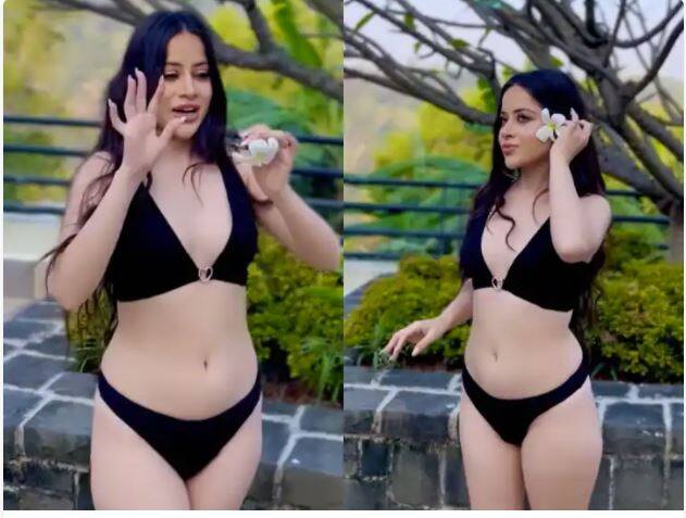 Urfi Javed looks Gorgeous in black bikini ਦਰੱਖਤ ਤੋਂ ਤੋੜ ਕੇ ਵਾਲਾਂ 'ਚ ਫੁੱਲ ਲਗਾਉਂਦੀ ਦਿਖੀ ਊਰਫੀ ਜਾਵੇਦ , ਬਲੈਕ ਬਿਕਨੀ ਪਹਿਨ ਕੇ ਢਾਹਿਆ ਕਹਿਰ