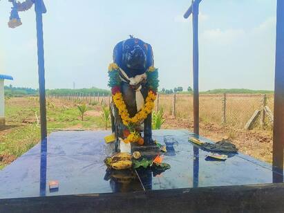 Affection in the heart, idol in the garden Sivagangai dog Nasser who loves puppy அது நாய் இல்லை.. மகன் மாதிரி.. இறந்த நாய்க்குட்டிக்கு சிலை வைத்து வணங்கும் முதியவர்!