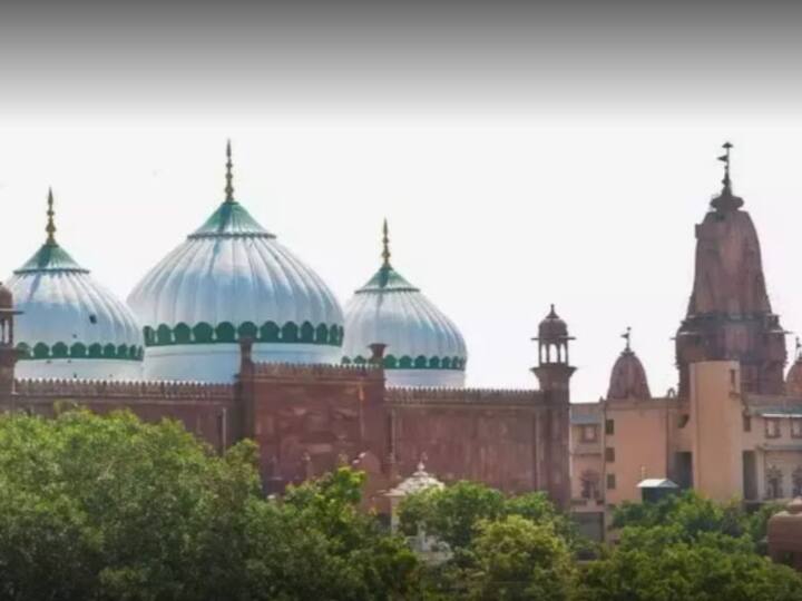 Krishna Janmabhoomi case: Allahabad HC grants four-month to Mathura court for redressal of all cases મથુરા શ્રીકૃષ્ણ જન્મભૂમિ વિવાદમાં અલાહાબાદ હાઇકોર્ટનો ચુકાદો, કહ્યુ- મથુરા કોર્ટ ચાર મહિનામાં તમામ અરજીઓનો નિકાલ કરે
