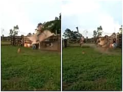 सांड के ऊपर बैठ हीरोगिरी दिखानी पड़ी काफी महंगी, एक ही झटके में गिरा कई फीट दूर