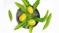 Summer Food Recipe: গরমে জিভে জল আনা আমের চাটনি, বানিয়ে ফেলুন খুব সহজেই