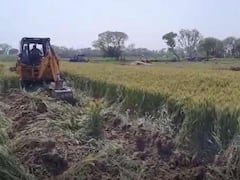 Etah News: योगी सरकार बनते ही फिर चलने लगा बुलडोजर, दबंगों के कब्जे से मुक्त कराई गई 120 बीघा जमीन