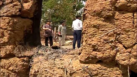 Birbhum Violence: গতকালের পর আজও বগটুইয়ে কেন্দ্রীয় ফরেন্সিক দল | Bangla News