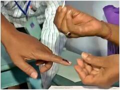 Chhattisgarh में उपचुनाव से पहले मुख्य निर्वाचन अधिकारी का ट्विटर अकाउंट हैक, बदल दी गई  प्रोफाइल पिक्चर 