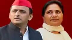 Akhilesh Yadav को Mayawati का चैलेंज, क्या मायावती के 'जमाली' UP में साइकिल की रफ्तार रोक पाएंगे ?