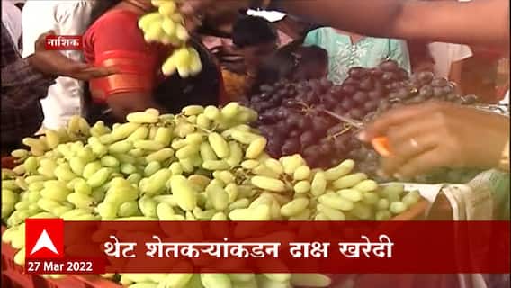 Nashik Grapes Special Report : नाशिकमध्ये द्राक्ष महोत्सव; कृषिविभागाचा अनोखा उपक्रम!