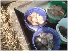 पश्चिम बंगाल: हिंसा के बाद अब बीरभूम में अंडर कंस्ट्रक्शन घर के पीछे मिले 40 देसी बम, तस्वीर आई सामने