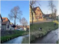 शख्स ने हवा में छलांग लगा दिखाया गजब का स्टंट, एक ही झटके में पार कर गया नदी