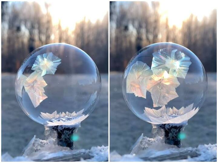 The bubble of water turned into ice in a few seconds चंद सेकेंड में बर्फ में बदल गया पानी का बुलबला, आंखों को सुकून दे रहा वायरल वीडियो