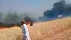 બનાસકાંઠાના અમીરગઢ હાઇવે પર હિટ એન્ડ રનની ઘટના, એકનું થયું મોત, જુઓ ગુજરાતી ન્યુઝ